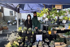 ひろんちの植物様